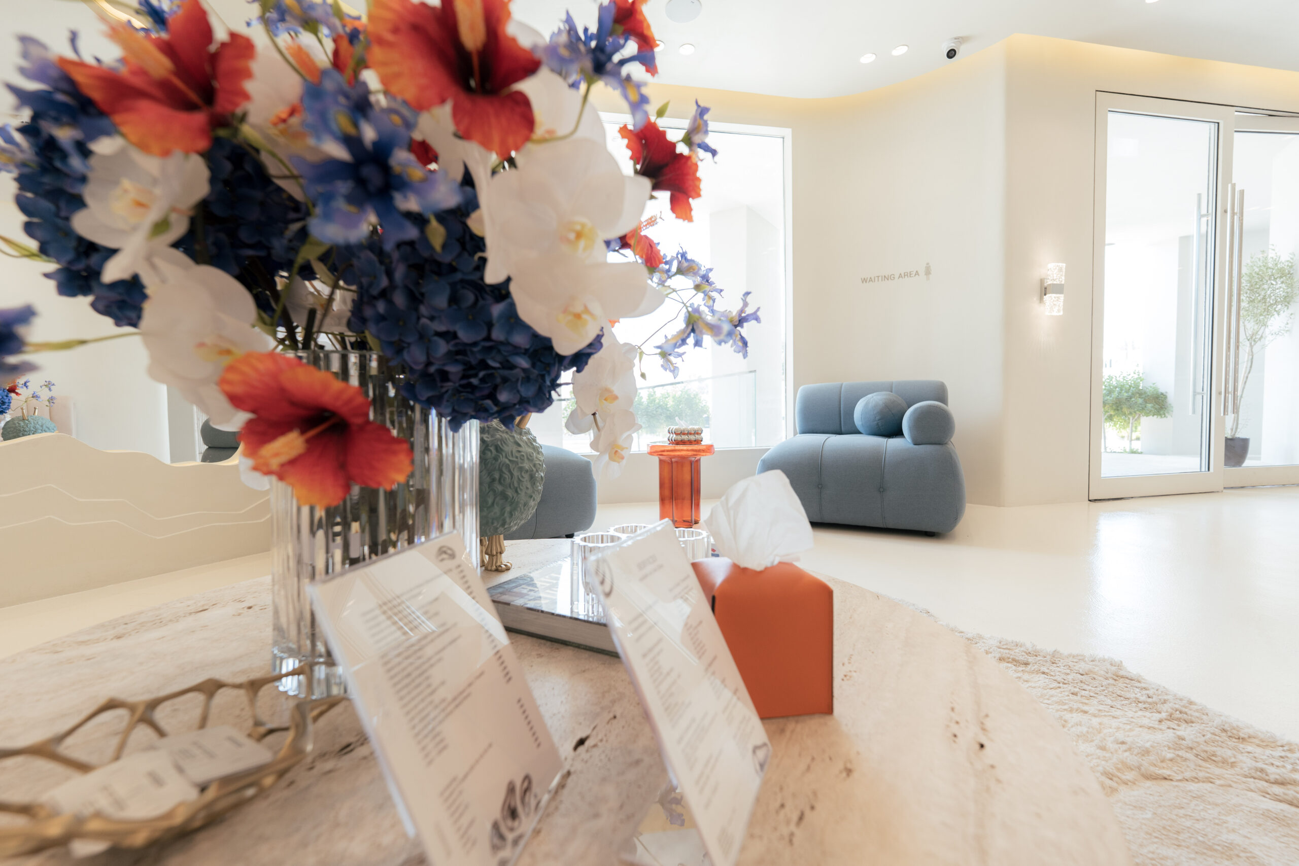 Private medical consultation suite at CEIA Clinic